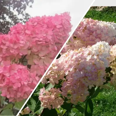 Комплект МНОГОГРАННОСТЬ в Барановичах