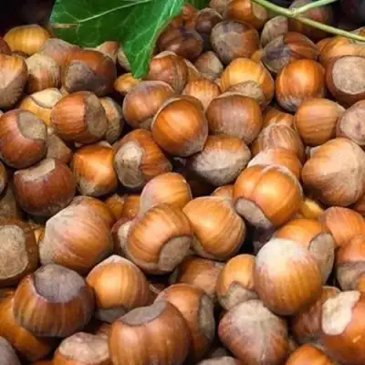 Фундук ТОНДА ДЖИФФОНИ в Барановичах