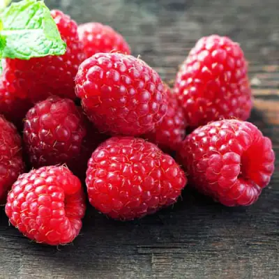 Малина ЭРИКА в Барановичах