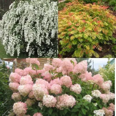 Комплект ФЕЙЕРВЕРК ЛЕТА в Барановичах