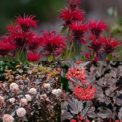 Комплект ОГНЕННЫЙ МИКС в Барановичах