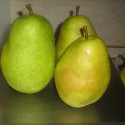 Груша БЕРЕ ЛЮКА в Барановичах