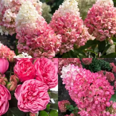 Комплект МАЛИНОВЫЙ ДЕСЕРТ в Барановичах