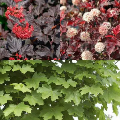 Комплект ОСЕННИЙ КОСТЕР в Барановичах