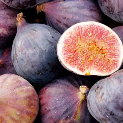 Инжир МУАССОН в Барановичах