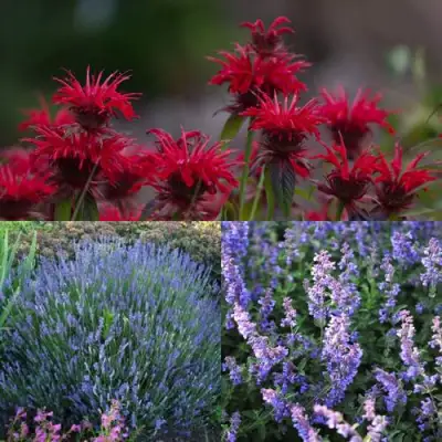 Комплект АРОМАТНЫЙ ЧАЙ в Барановичах