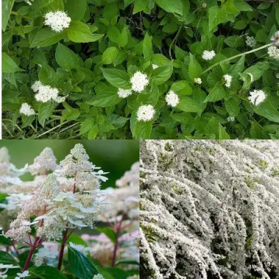 Комплект СКАНДИНАВСКИЙ СТИЛЬ в Барановичах