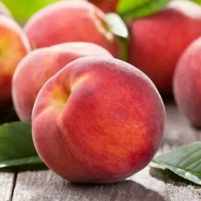 Персик МАЙСКИЙ ЦВЕТОК в Барановичах