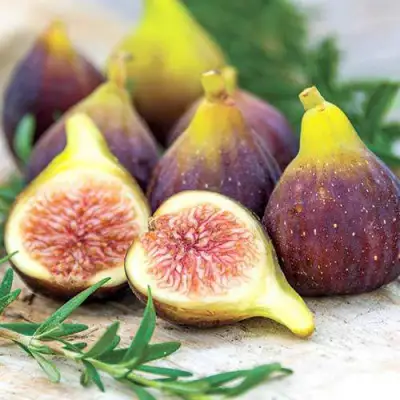 Инжир НИКИТСКИЙ в Барановичах