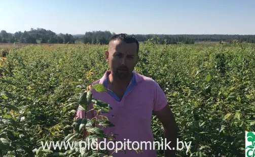 Превью видео