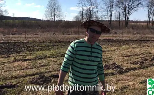 Превью видео