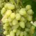 Виноград ЗАРНИЦА в Барановичах