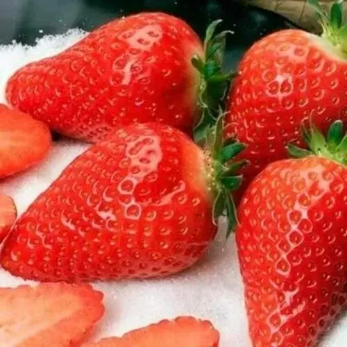 Клубника АЛЬБА в Барановичах