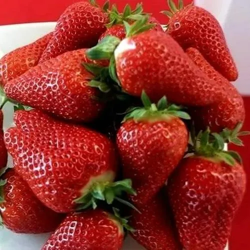 Клубника БРИЛЛА в Барановичах