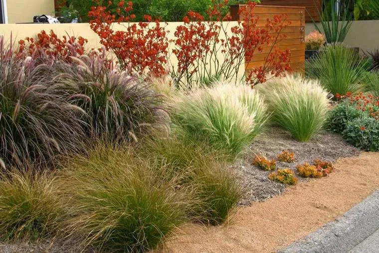 Плодопитомник Сад в Минске обновляет ассортимент саженцев злаков на осень 2025 года! Плодопитомник Сад в Минске обновляет ассортимент саженцев злаков на осень 2025 года!