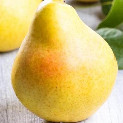 Желтая в Барановичах