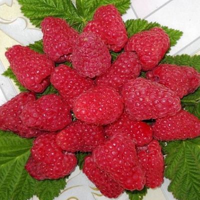 Сладкая в Барановичах