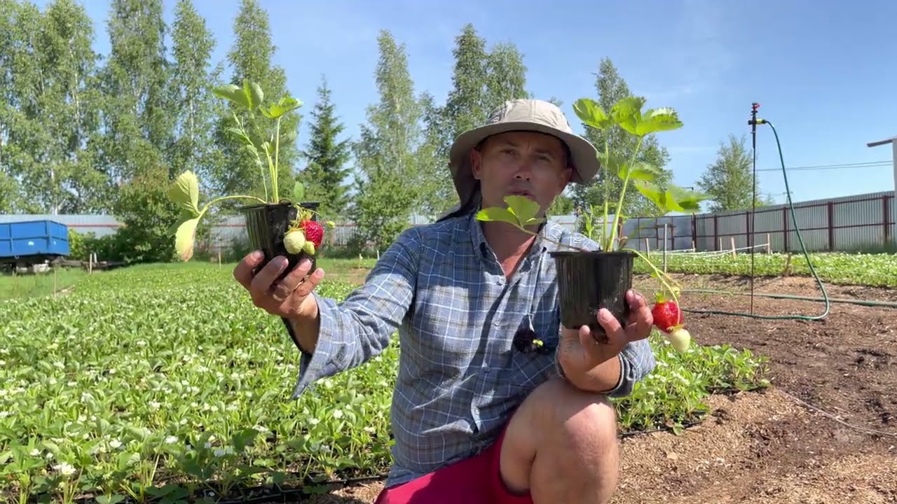 Превью видео