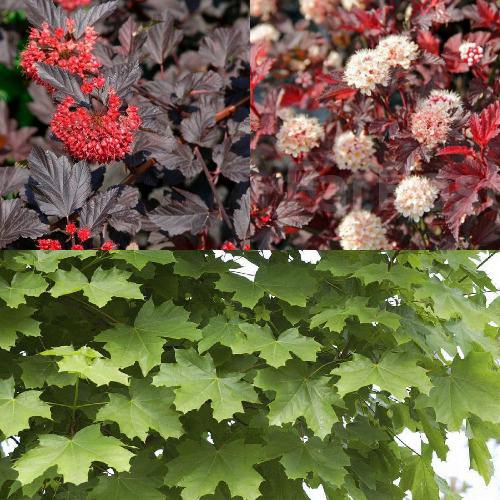 Комплект ОСЕННИЙ КОСТЕР в Барановичах