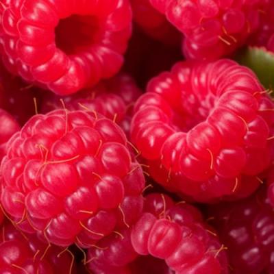 Красная в Барановичах