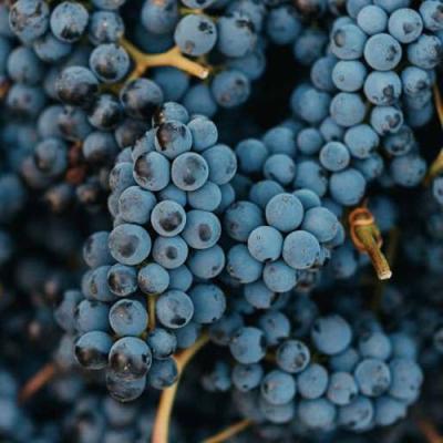 Технический в Барановичах