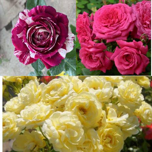 Комплект РОЗОВЫЙ АКЦЕНТ в Барановичах