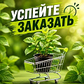 УСПЕЙТЕ ЗАКАЗАТЬ в Барановичах